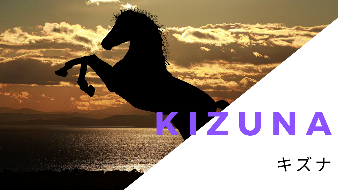 【希少！】社台ファーム スタリオンブック 1992 競走馬 種牡馬 カタログ 希少！】社台ファーム スタリオンブック 1992 競走馬 種牡馬