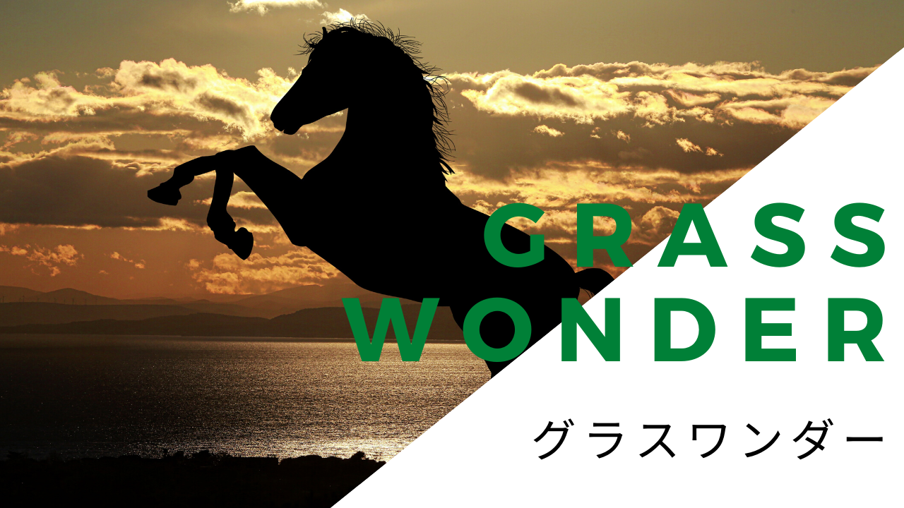 ☆種牡馬グラスワンダー号☆額装蹄鉄